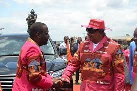 Mutharika to direct supporters on right DPP candidate