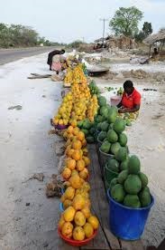 Malawi to increase export of fruits to UAE