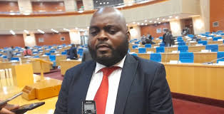 Parliament recommends ESCOM-MAREP Coordination on Electricity Connection